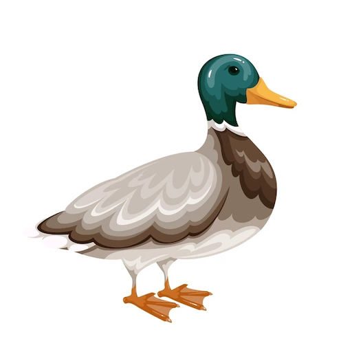 Quack Quack icon